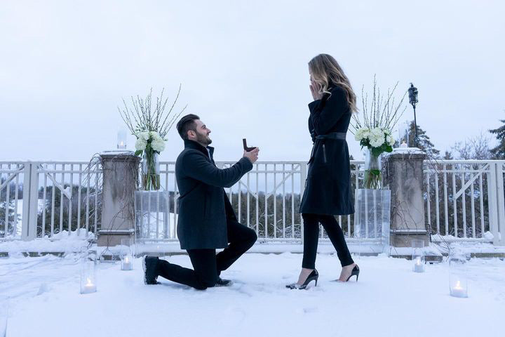 Snowy winter proposal