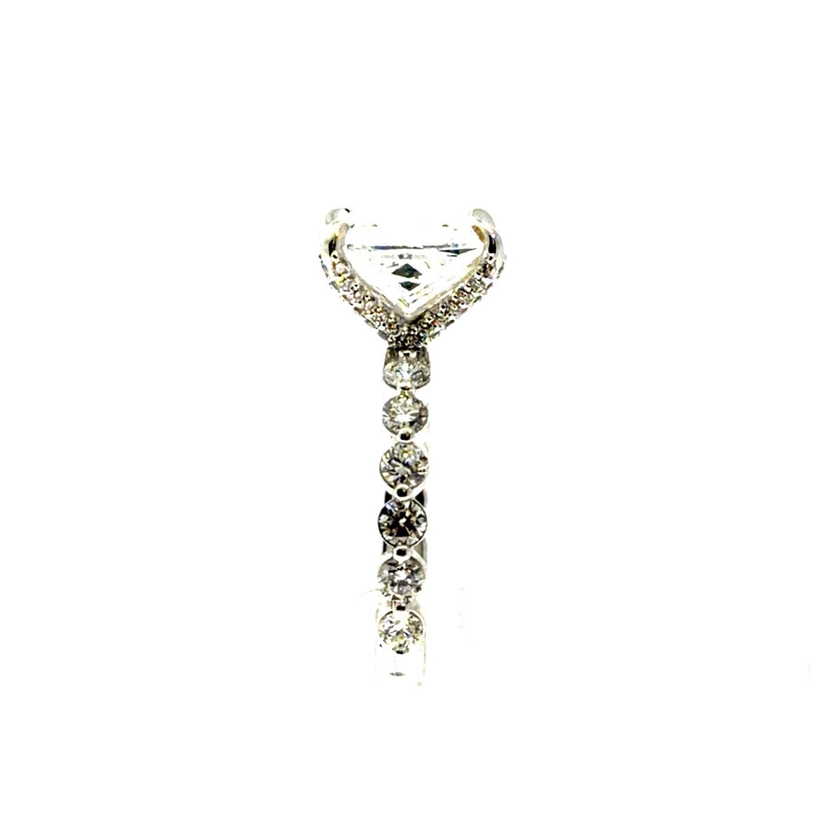 Elongated Cushion Lab Diamond - Shared Bead Shank - Available in 2.00-5.00ct