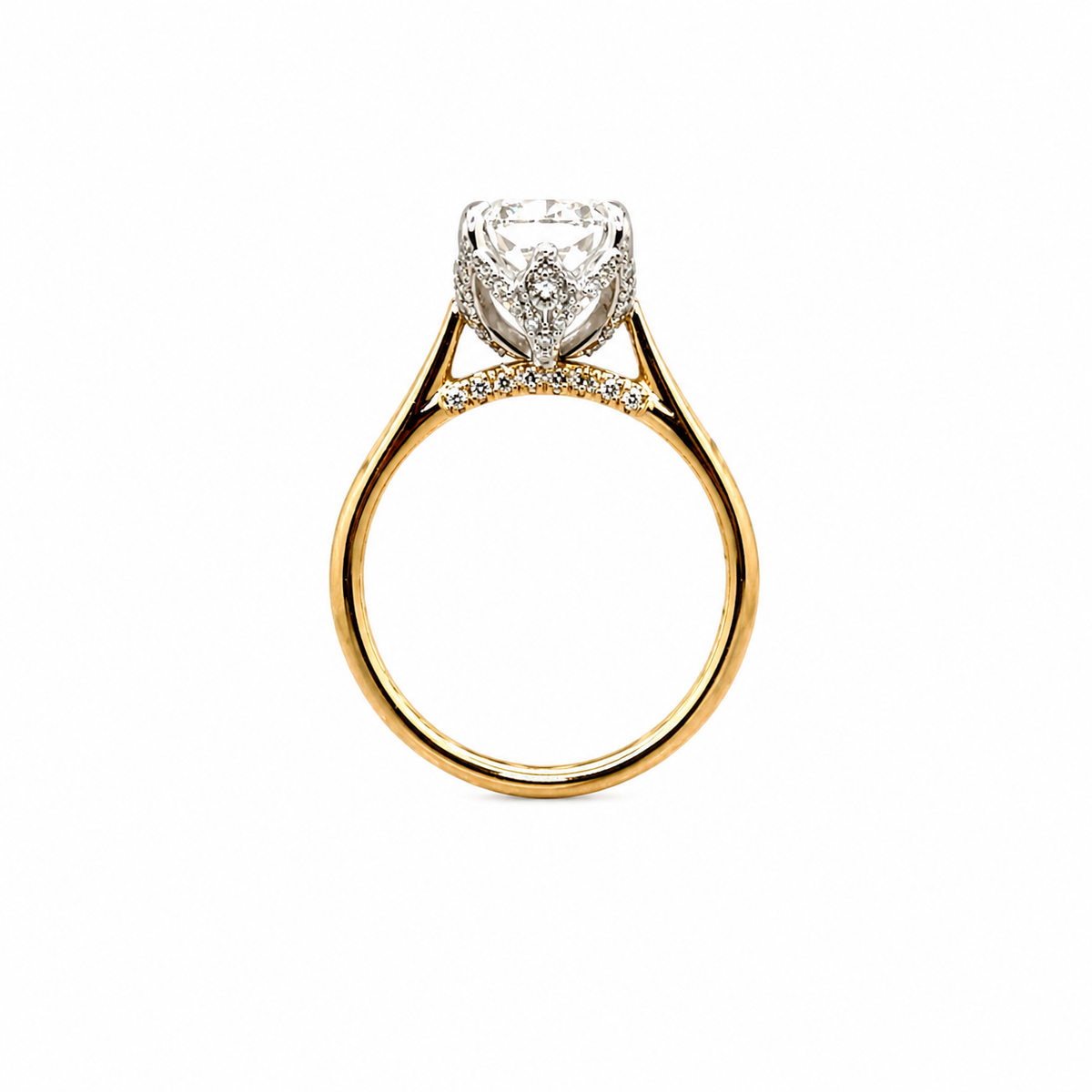 Elongated Cushion Cut Lab Diamond Engagement Ring | 1.80MM Tube Shank | Cathedral | Diamond Encrusted Petal Prongs