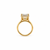 Elongated Old Mine Cut | 1.80MM Cathedral Tube Shank | Wrap-Around Reverse Halo - Engagement Ring