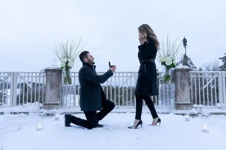 Snowy winter proposal