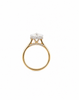 Marquise Cut Lab Diamond Engagement Ring | 1.80MM Tube Shank | Cathedral | Reverse Halo (Copy) - Lab Engagement Ring