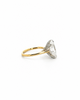 Oval Cut Lab Diamond Engagement Ring | 1.80MM Tube Shank | Cathedral | Diamond Encrusted Prongs - Lab Engagement Ring
