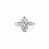 Dutch Marquise