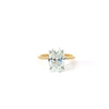 Oval Cut Lab Diamond - Classic 1.50MM Tube Solitaire Design- Available in 1.00ct - 7.00ct