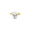 Elongated Cushion Cut Natural Diamond – Braid Shank – video