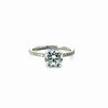 Square Cushion Cut Natural Diamond – Reverse Halo & Italian Pave Shank – video
