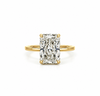 Radiant Cut Lab Diamond- Wrap Around Reverse Halo - Available in 1.00ct - 7.00ct - Hidden Halo Reverse Halo Natural