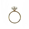 Round Cut Diamond- Shared Bead Reverse Halo Design-Choice of 1.00ct / 1.50ct / 2.00ct or 2.50ct Centre Diamond - Hidden