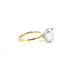 Round Cut Lab Diamond - Diamond Encrusted Prongs & 1.50MM Tube Shank- Available in 1.00ct - 7.00ct - Lab Engagement Ring
