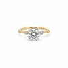 Round Cut Lab Diamond - Reverse Halo with Spaced Out Shared Bead Shank - Available in 1.00ct - 7.00ct - Hidden Halo
