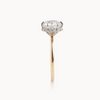 Round natural diamond engagement ring, shared bead reverse halo & 1.50mm tube shank – view 5 of 5