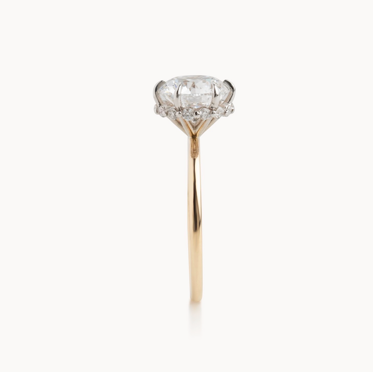 Round natural diamond engagement ring, shared bead reverse halo & 1.50mm tube shank – view 5 of 5